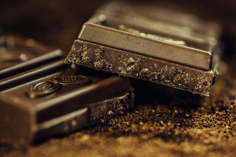Chocolate para o seu Pet
