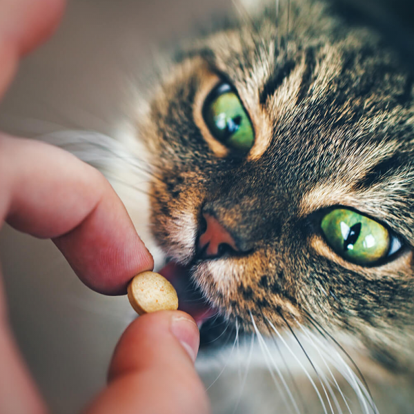 Cuidado com a Automedicação