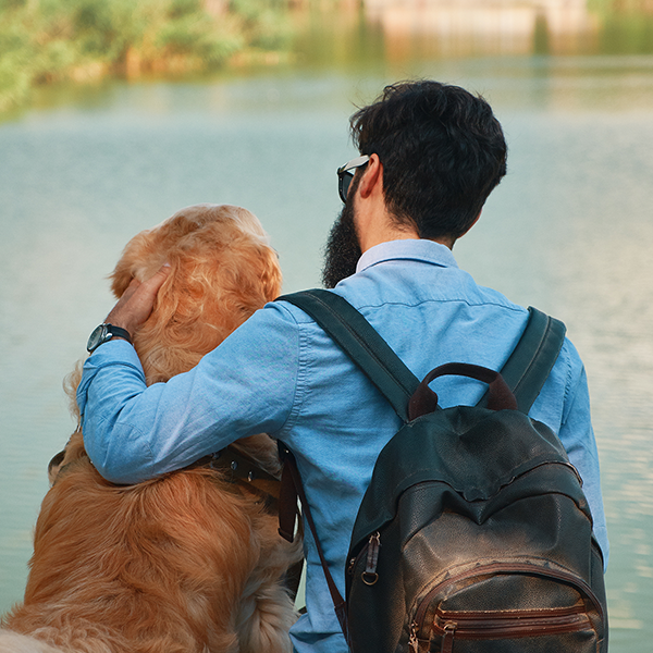 Ansiedade da separação, como evitar!