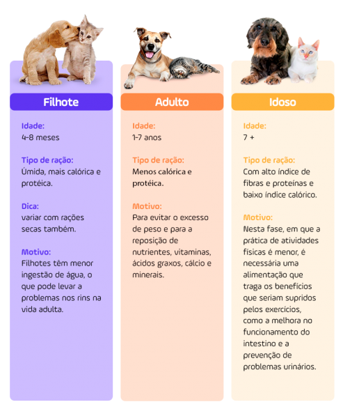 Ração para pets: para cada fase, um tipo de ração