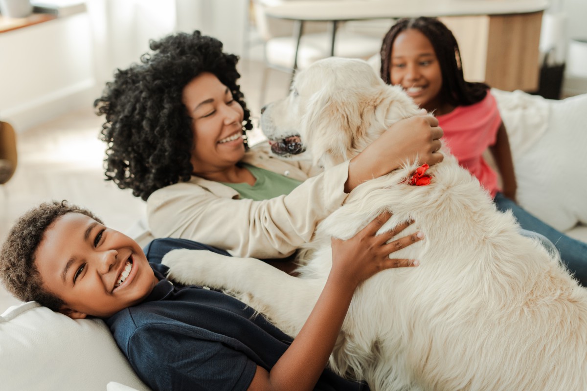 Pets e saúde mental: como cães e gatos ajudam no bem-estar emocional