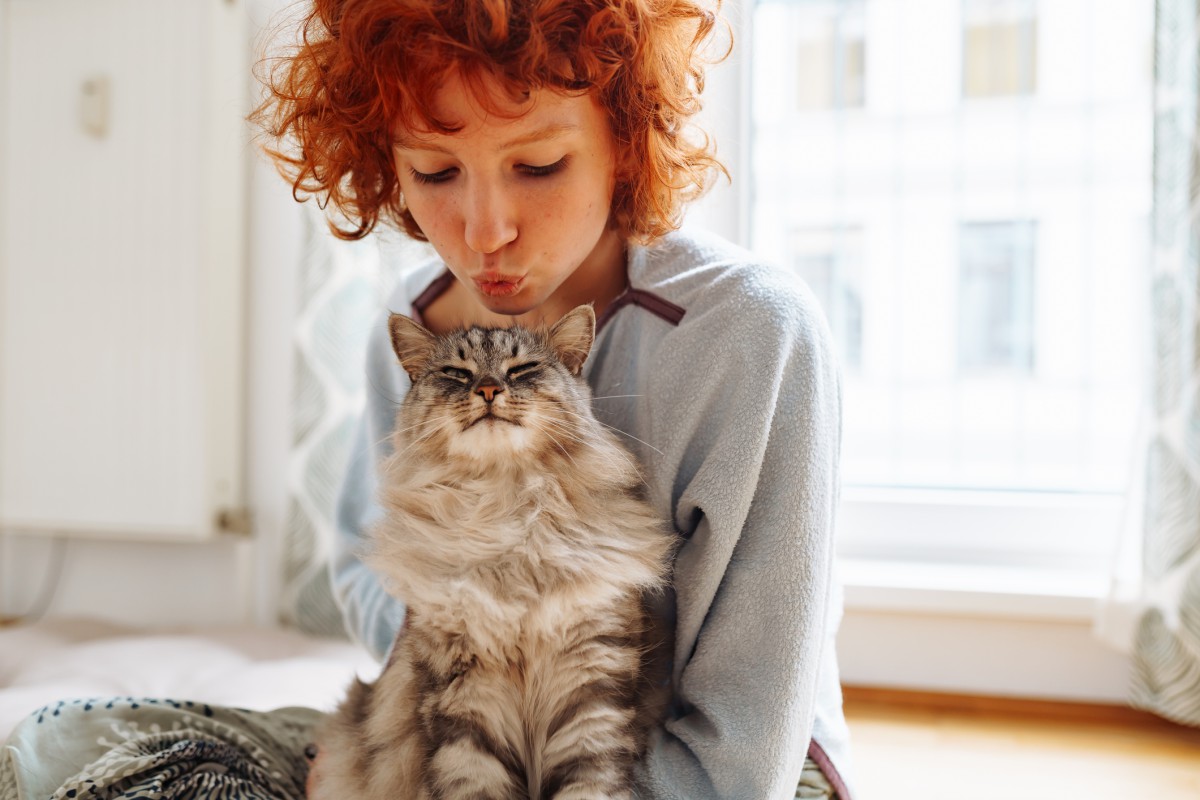 Câncer em pets: quais sinais merecem atenção?